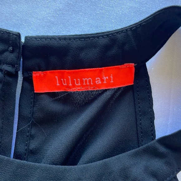 Lulumari Black Silky Halter Top Metallic Thread Embroidered Accent Panels Sz S - Picture 13 of 16